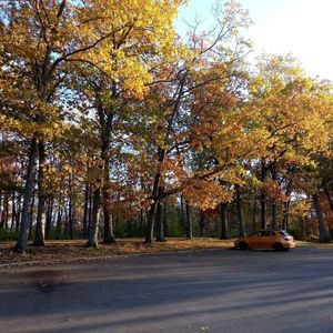 Meet your Posher, Noellie danielle